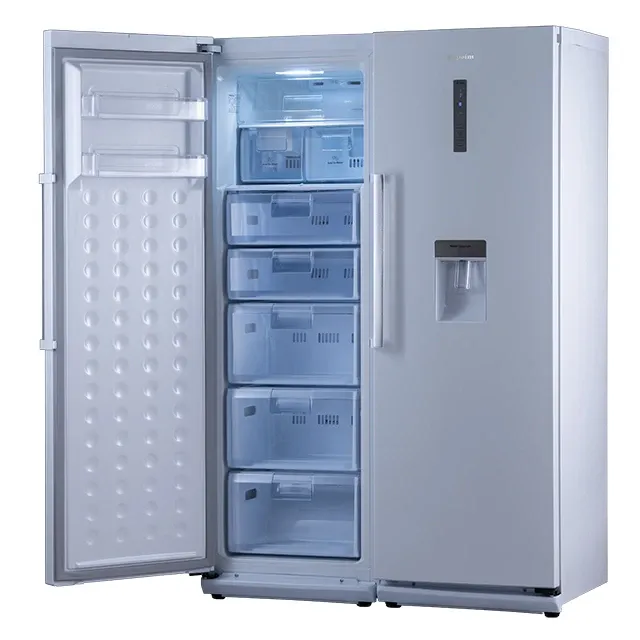 یخچال فریزر دوقلو دیپوینت 40فوت مدل d4w - تصویر 4